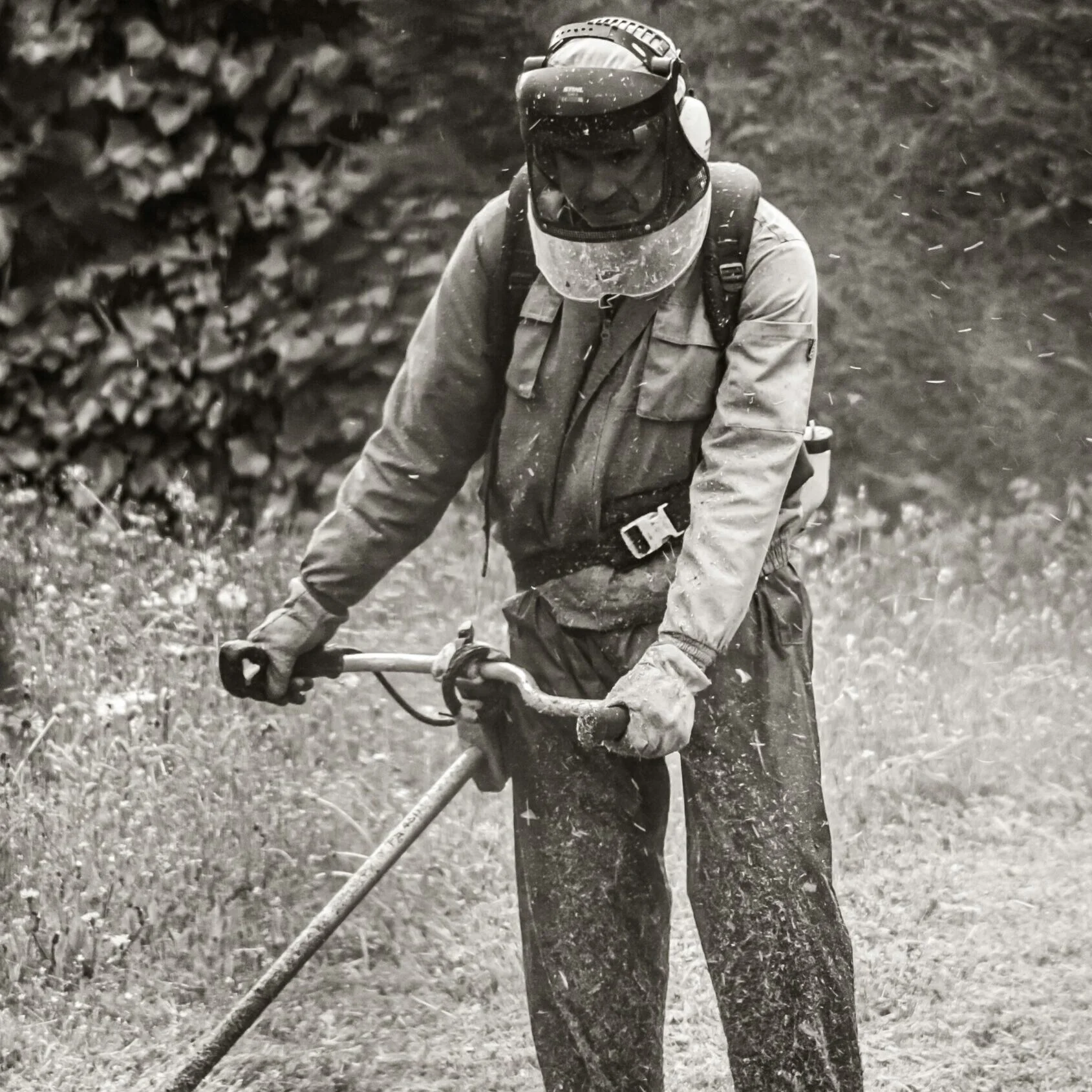 Profesionalus įrangos naudojimas